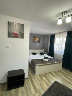 Casa Sofia Dorna Candrenilor - Dorna Cîndrenilor - 9