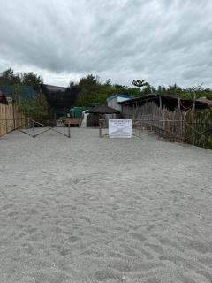 Sand Castles Beachfront Resort - Zambales - 3