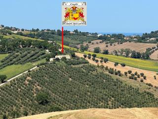 Il Gelso in historic farmhouse with swimming pool, barbecue, gym, olive grove in Senigallia - Senigallia - 8