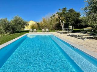 Il Gelso in historic farmhouse with swimming pool, barbecue, gym, olive grove in Senigallia - Senigallia - 4