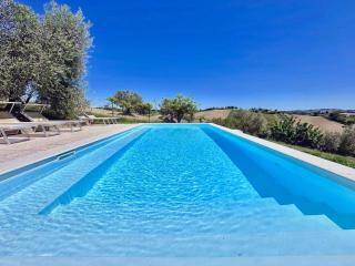 the Gelso in historic villa with pool in Senigallia - 1