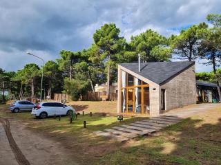Pinot Noir - Pinamar - 1
