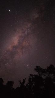 Finca La Picuda Quetzal Cottage - Cartago - 7