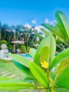 Eagles Nest Cabanas - Tangalle - 7