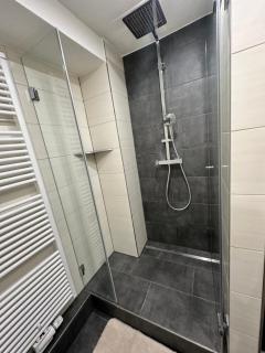Zieg39 EG Apartment groß - Heilbronn - 7