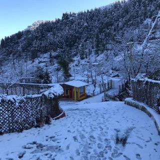 NATURE WALK RESORT Mussoorie - Mussoorie - 0