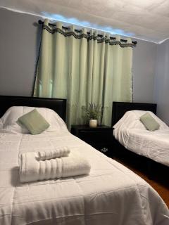 The Regal Sanctuary - 7