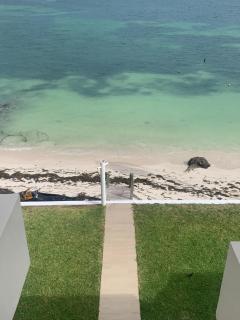 Ocean View PLAYA DEL NIÑO Rooms & Apartments - 3