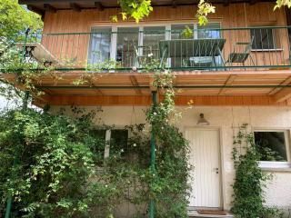 Alpenblick-Steineckhof - Schopfheim - 9