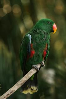 Mamatua N Saleo Villa - 9