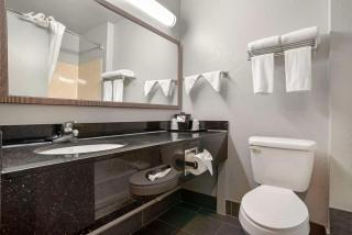 Quality Inn & Suites Birmingham - Highway 280 - Birmingham - 3