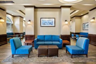 Comfort Suites Frisco - 8
