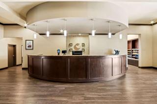Comfort Suites Frisco - Frisco - 7