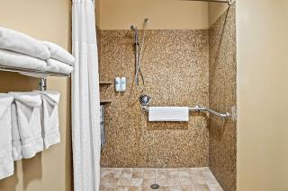 Comfort Suites Frisco - 5