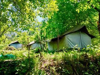 woodland camping tent jibhi - 1