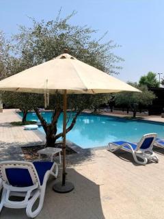 Silk Valley - Gorgeous 1b Close To The Airport - Dubai - 7