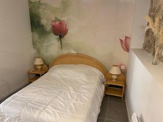 Superbe et atypique F2 Suquet Centre Cannes - Cannes - 7