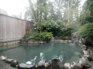 Hotel Kirishima Castle - Kirishima - 3