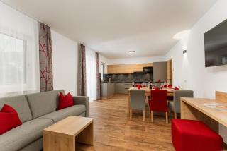 Das Ennshaus by Schladming-Appartements - 1