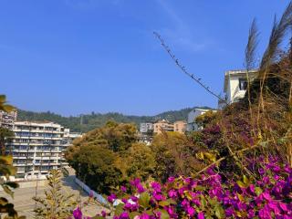 Xiamen Yingji Guesthouse--Near Xiamen University - Xiamen - 1