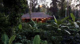 Yaala - Coorg Riverside Retreat - Napoklu - 9