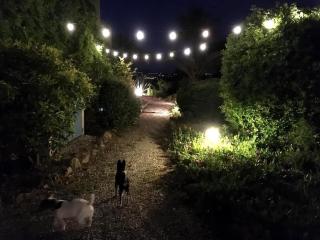 Maison Gassin - SaintTropez - Saint-Tropez - 8