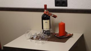 Pension Zur alten Mühle - 1