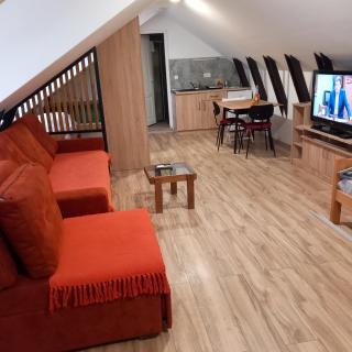 apartman 1 porodicni uzice - Užice - 0