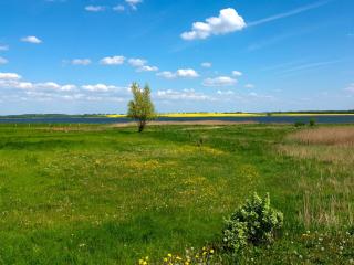 Haus Sonnenschein Sommerwiese - Insel Poel - 9