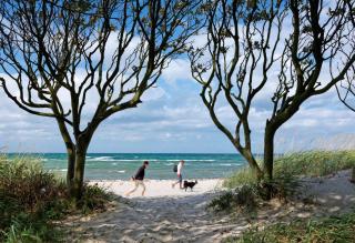 Haus Sonnenschein Sommerwiese - Insel Poel - 3
