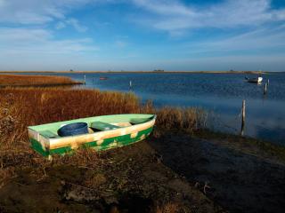 Gollwitzer Park Buchennest - Insel Poel - 2