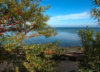 Gollwitzer Park Seesternchen - Insel Poel - 2