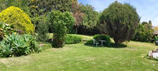 Haley's cabin - Tauranga - 4