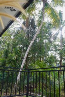 Amara Villa, Ahangama - 4