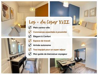 Le César XVII - Hypercentre - Angers - 9