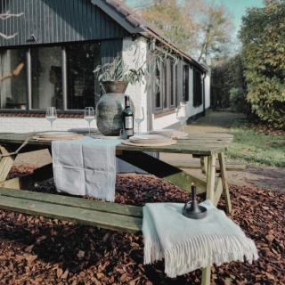 HottuB - Wellnesshuisje - Bos - Oudveluwe - Voorthuizen - 5