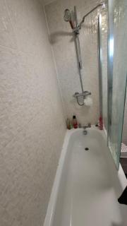 Pine tree House - Mile End - 7