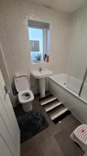 Pine tree House - Mile End - 6