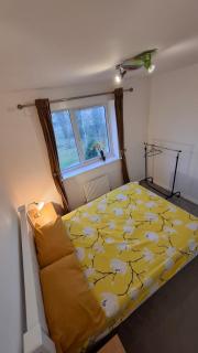 Pine tree House - Mile End - 8
