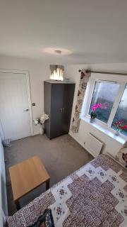 Pine tree House - Mile End - 9