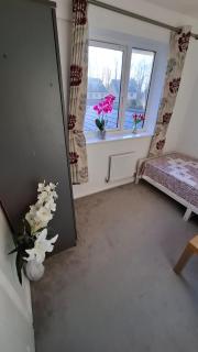 Pine tree House - Mile End - 3