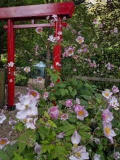 Cascades Gardens - 3