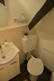 Stilvolle Altbauwohnung, Apartment Träum & schön - Höhr-Grenzhausen - 5