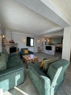 Cozy cottage in Bakuriani - Bakuriani - 8