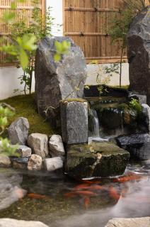 Wuyuan Jingmuo Liangxi Guest House - Wuyuan - 6