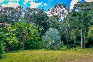 The White Palm - 6