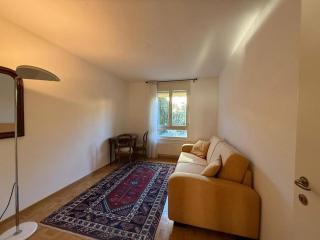 Radieux logement à 5mn du centre - Ginevra - 6