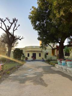 Pili kothi farms - Jaipur - 3