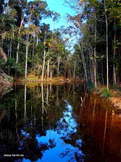 Chalé Lago Encantado - 2