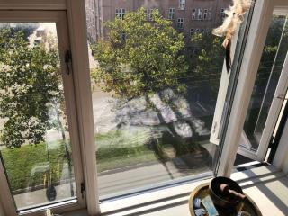 Soulful 3 Room apartment in Østerbro near nature - Copenhagen - 9